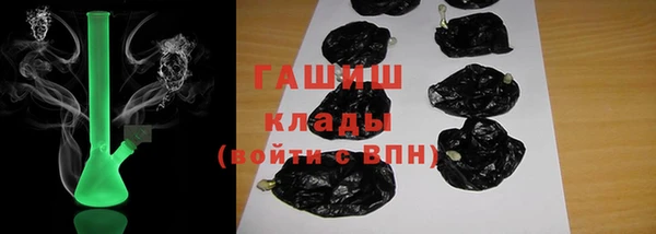 гашик Арсеньев