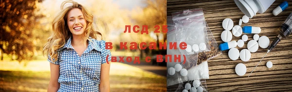 гашик Арсеньев