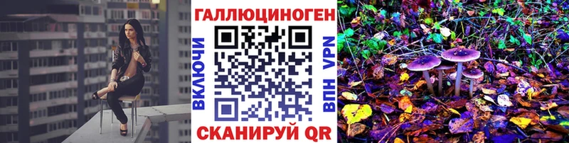 где найти   Белозерск  блэк спрут сайт  Галлюциногенные грибы Psilocybe 